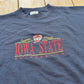 Vintage 1990s Iowa State University Cyclones Embroidered Collegiate Crewneck Sweater Men's L / Made In USA / 90s Streetwear / NCAA