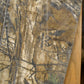 Vintage 2000s Wrangler Real Tree Camo Pants Youth 23 x 23.5