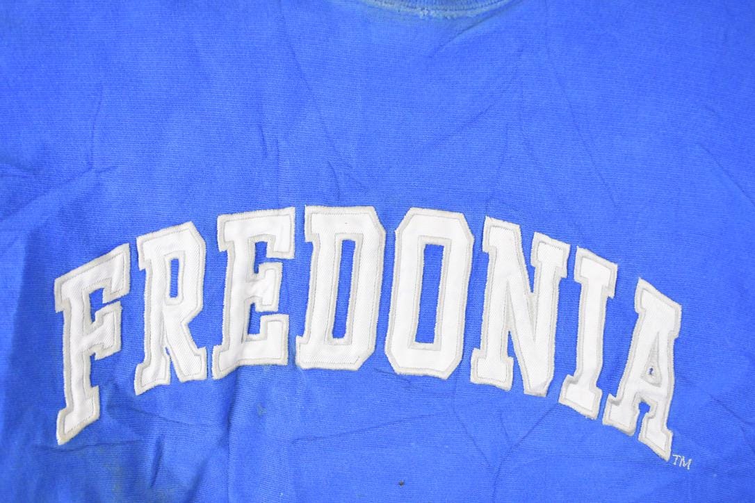 Vintage 1990s Steve And Barry's Fredonia Embroidered University Crewneck Sweater Mens L from propervintagecanada