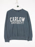 Carlow University Sweatshirt Mens Small Grey College from propervintagecanada
