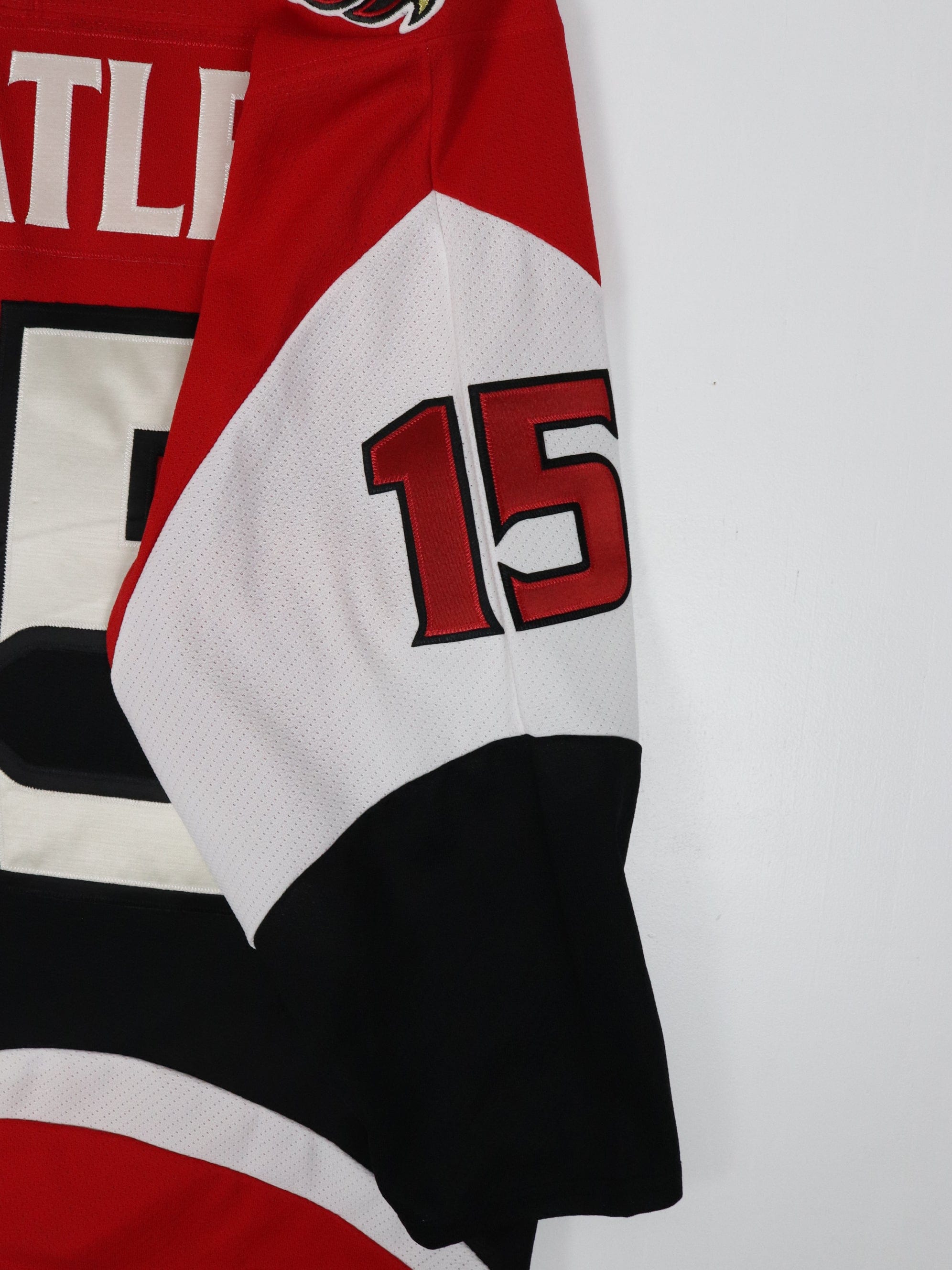 NHL Dany Heatley Ottawa Senators 15 Jersey – jerseysspace
