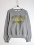 Collegiate Sweatshirts & Hoodies Spring Arbor University Sweatshirt Mens Small Grey