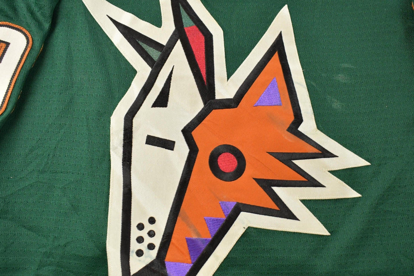 Vintage 1990s Phoenix Coyotes Dan Focht Peyote Alternate NHL Hockey Jersey Men's 58 Men's 2XL
