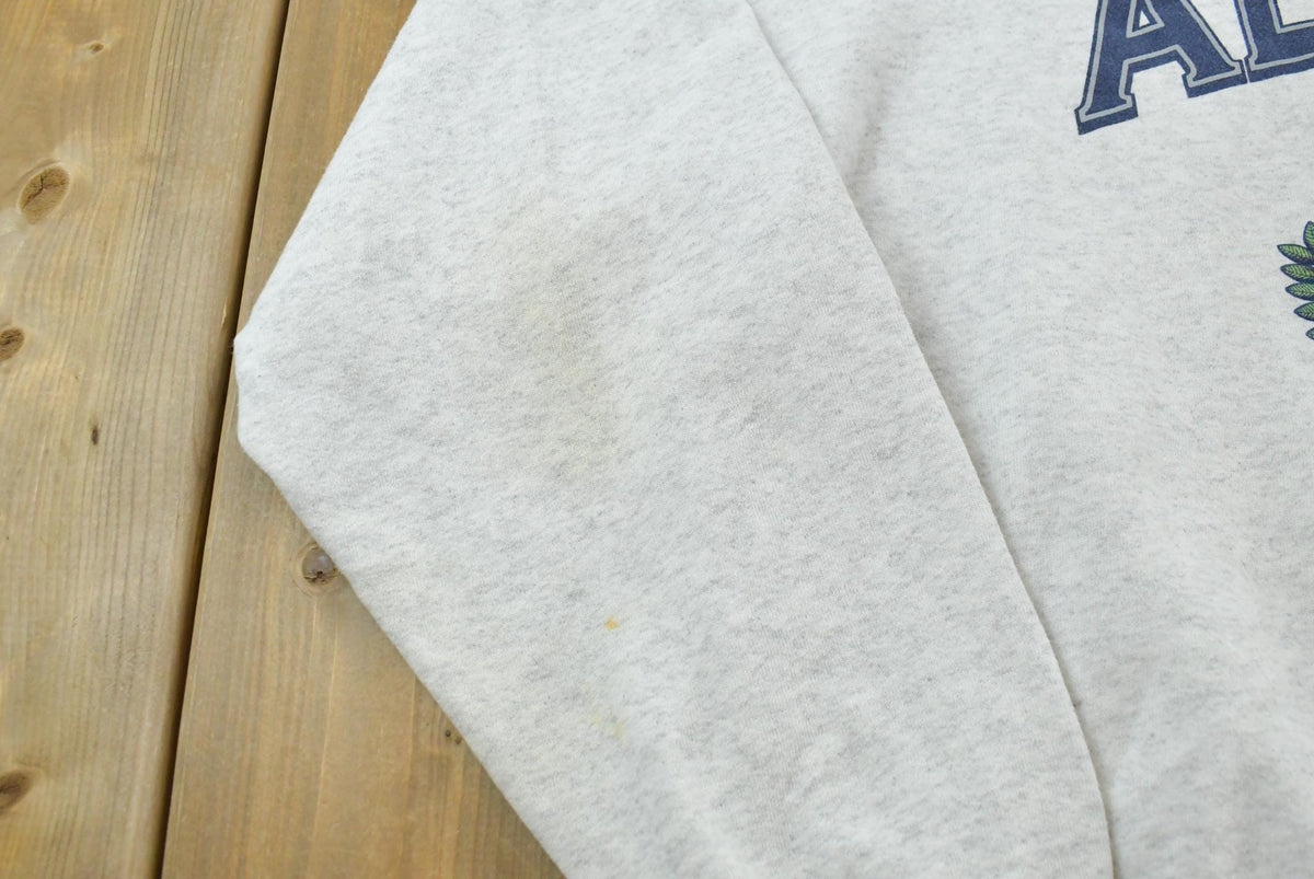 Vintage 1996 Alpena Michigan Crew Hoodie Sweatshirt Men's XL