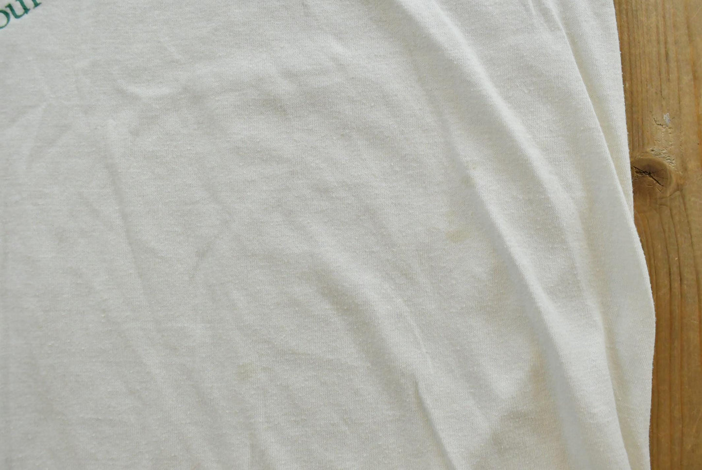 Vintage 1990s Moveathon Marathon For The Environment Ottawa Souvenir T-Shirt Men's M