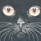 Vintage 1990's Black Cat Souvenir Travel T-Shirt Men's M
