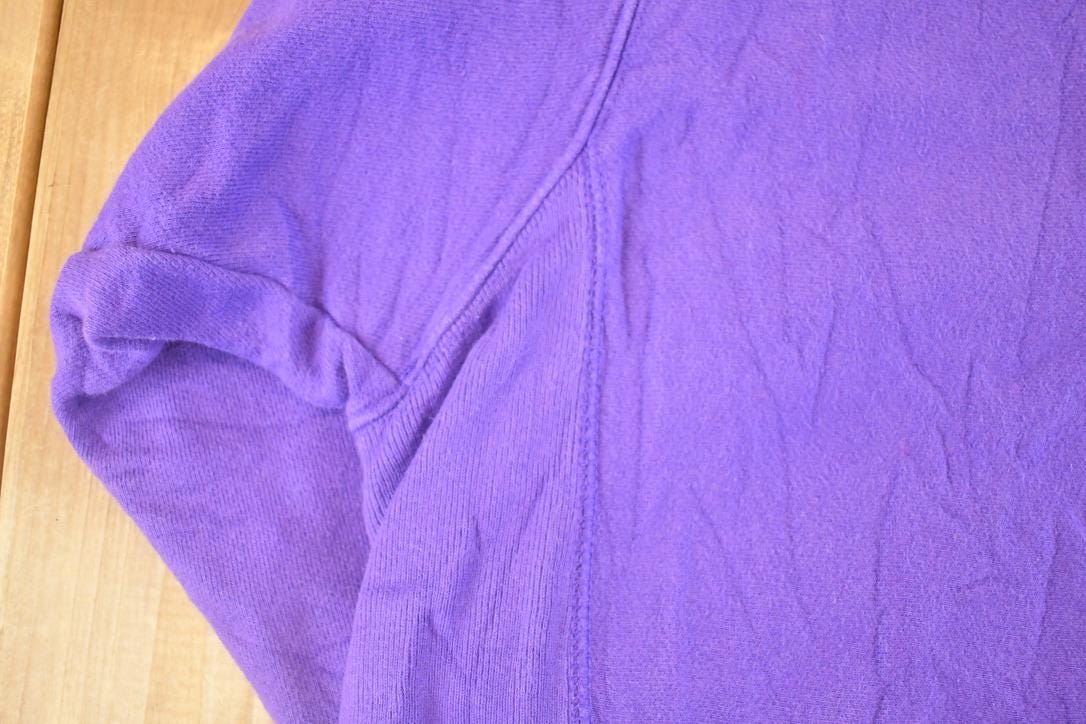 Vintage Y2K Northwestern University Champion Reverse Weave Sweatshirt Men's XXL