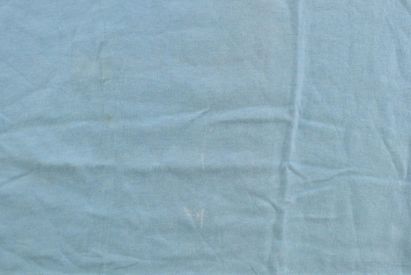 Vintage 1990s Bonaire Angel Fish Souvenir T-Shirt Mens L