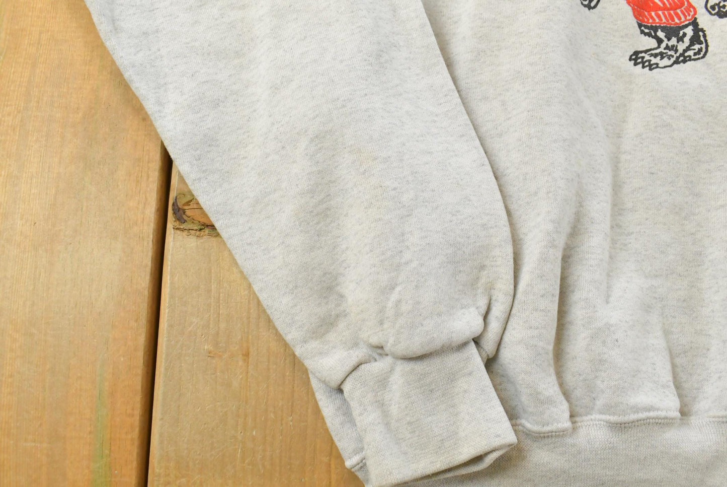 Vintage 90s Wisconsin Badgers Hoodie Sweatshirt Men's M Made in USA Collegiate Sweater