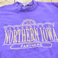 Vintage 1990s University Of Northern Iowa Panthers Embroidered Collegiate Crewneck Men's L