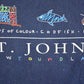 Vintage 1990's St John's Newfoundland Souvenir Travel T-Shirt Mens M