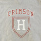 Vintage 1990s Harvard Crimson University Collegiate Hoodie Men's M