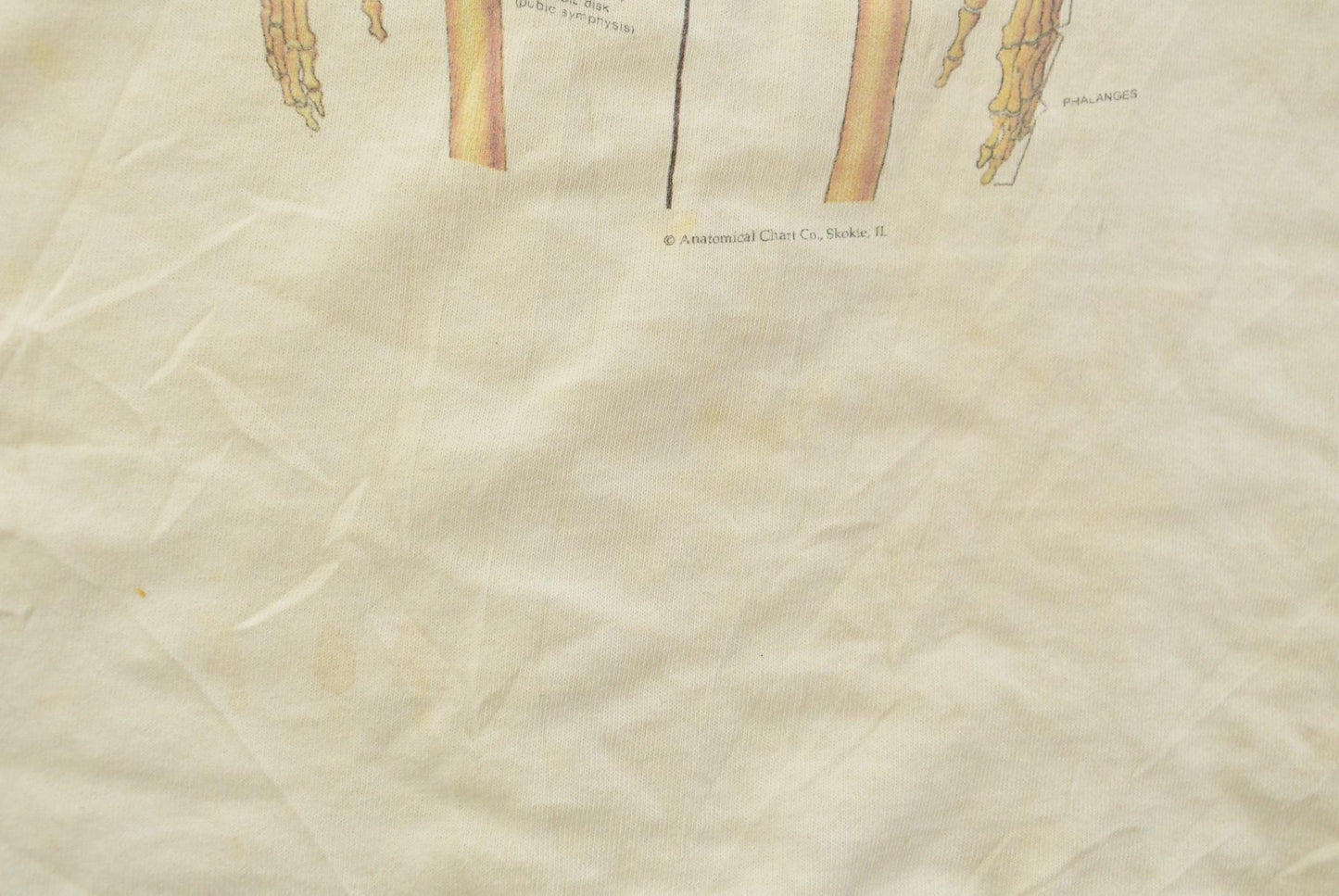 Vintage 1990's Skeleton Anatomy Souvenir T-Shirt Men's L