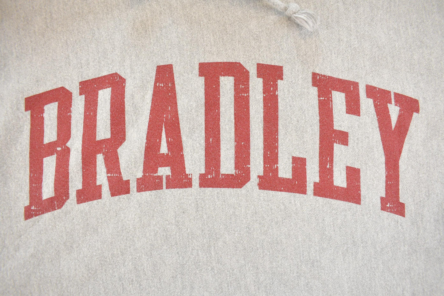 Vintage Y2K Bradley University Champion Reverse Weave Collegiate Hoodie Sweatshirt Men's L