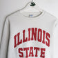 Illinois State Sweatshirt Mens Small White from propervintagecanada