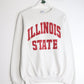 Illinois State Sweatshirt Mens Small White from propervintagecanada