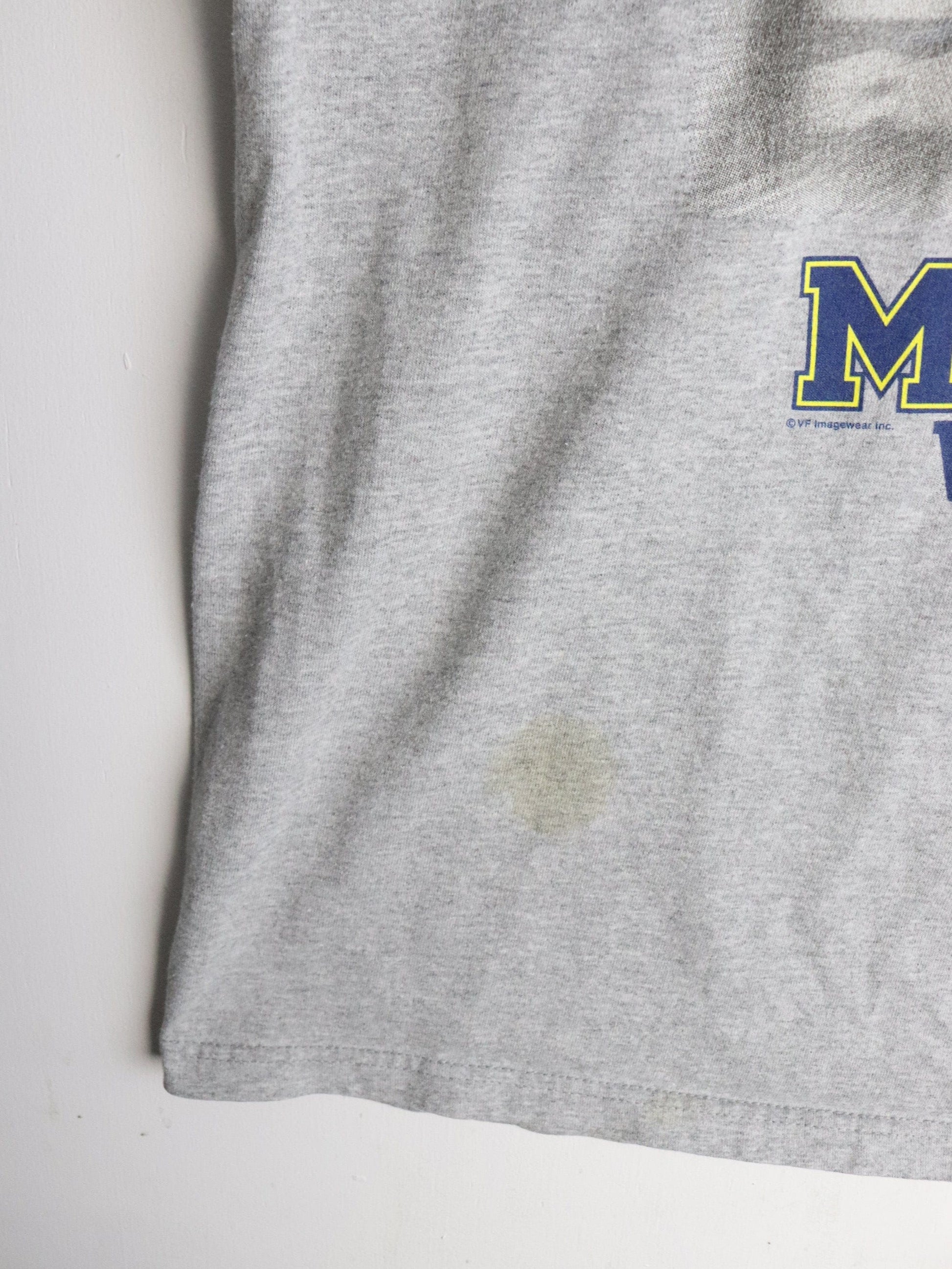 Michigan Wolverines T Shirt Mens XL Grey College Football from propervintagecanada
