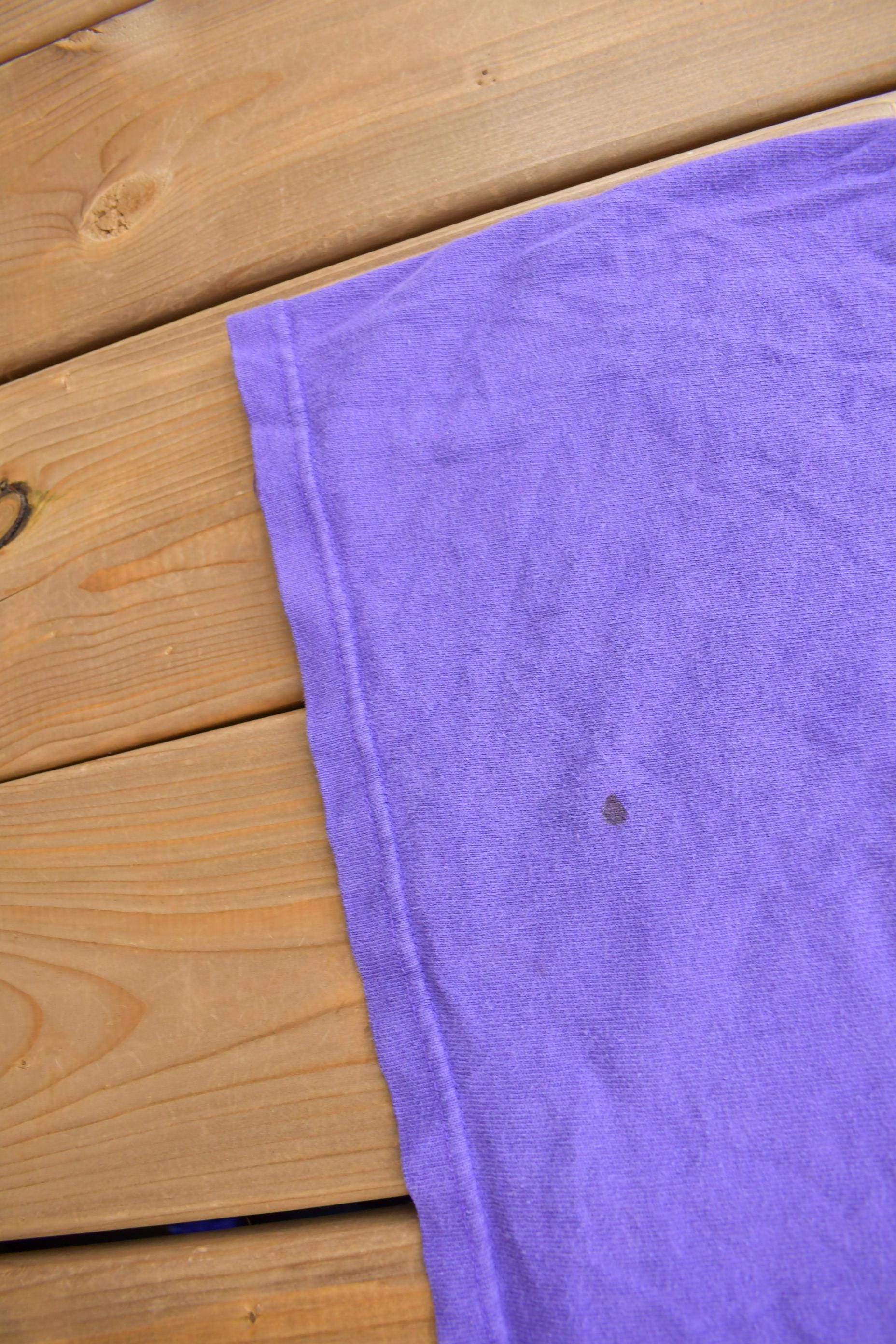 NBA Clothing > Gender Neutral Adult Clothing > Tops & Tees > T Shirts Vintage 1990s Toronto Raptors NBA Basketball Champion Graphic T-Shirt / XXL / Sportswear / Vintage NBA