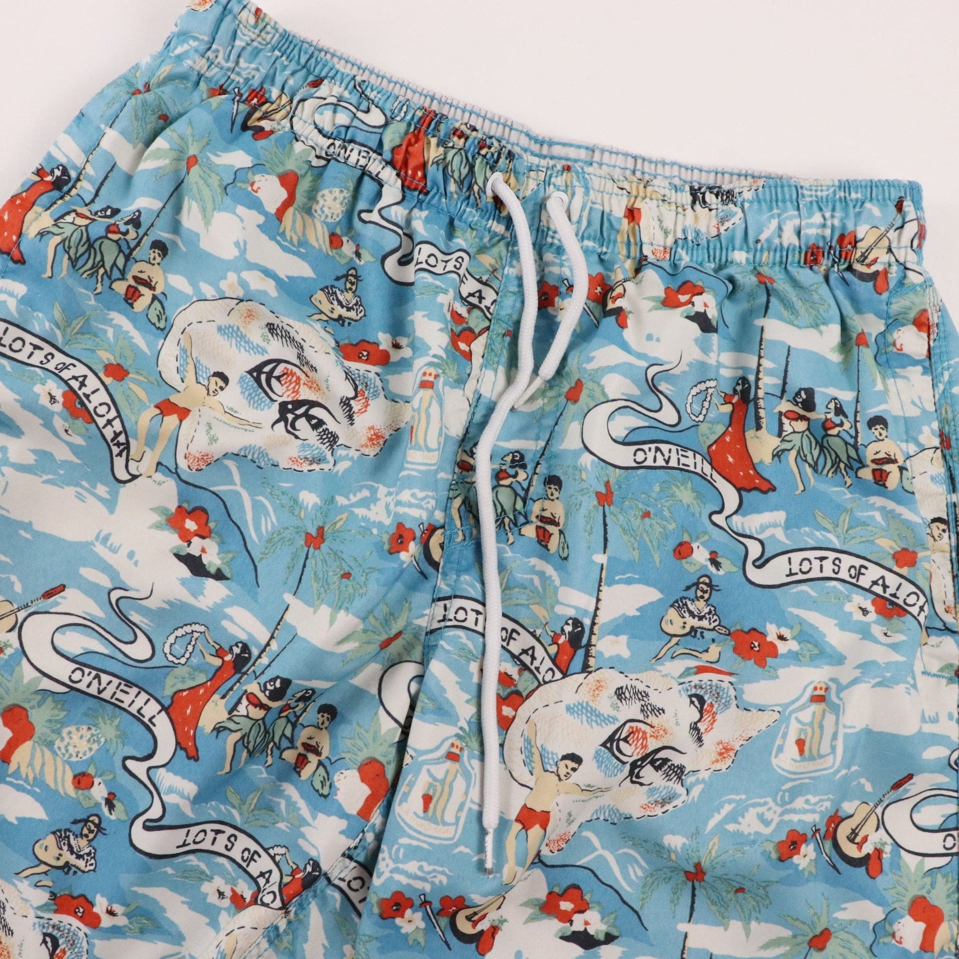 O'neill Shorts Fits Men's Small Blue Casual Swimming Trunks