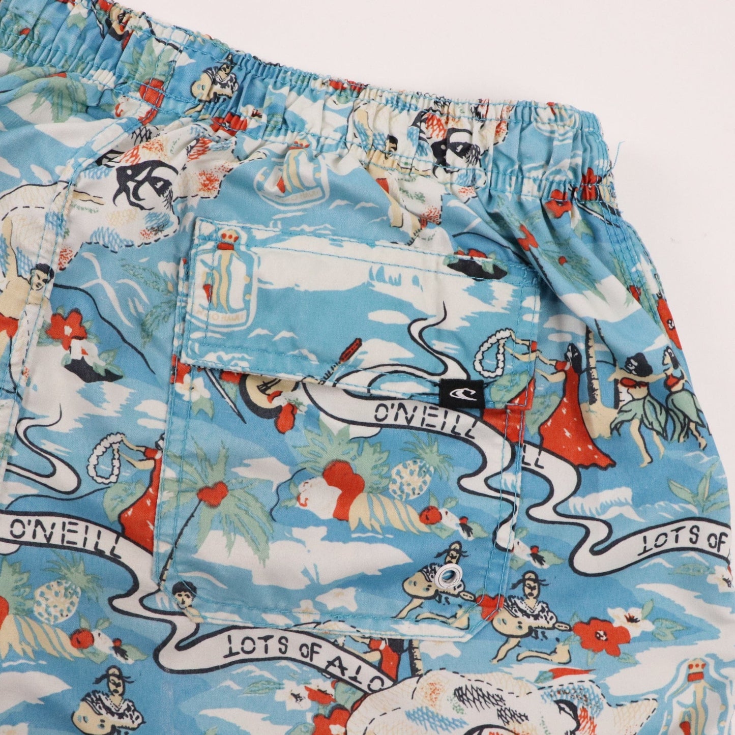 O'neill Shorts Fits Men's Small Blue Casual Swimming Trunks