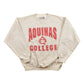 Other Clothing > Gender Neutral Adult Clothing > Hoodies & Sweatshirts > Sweatshirts Vintage 1990s Aquinas College Collegiate Crewneck Men's Large/ NCAA Sweatshirt / Sportswear / Americana
