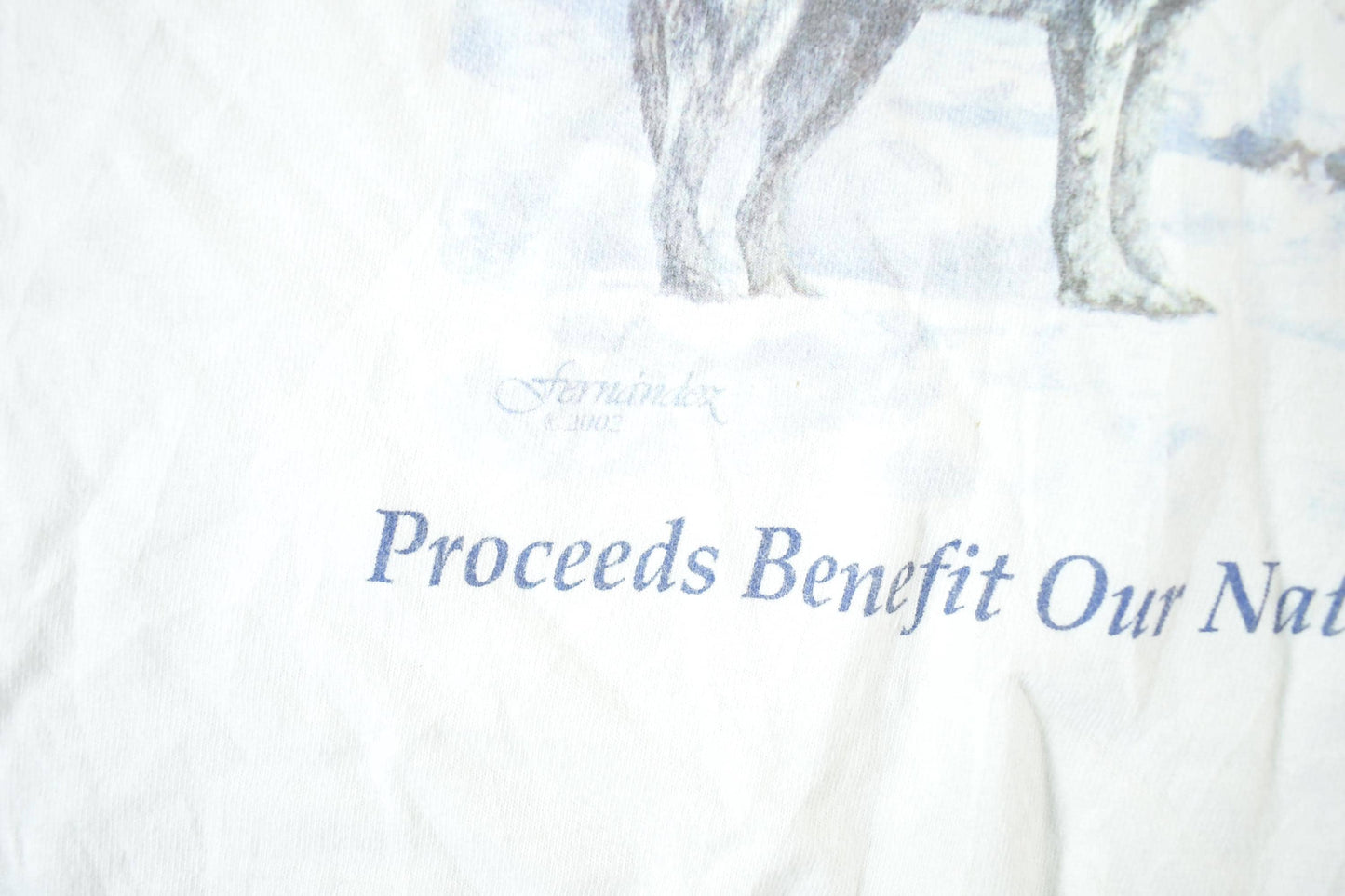 Other Clothing > Gender Neutral Adult Clothing > Tops & Tees > T Shirts Vintage 1990s Minnesota State Lottery Nature T-Shirt Mens XL