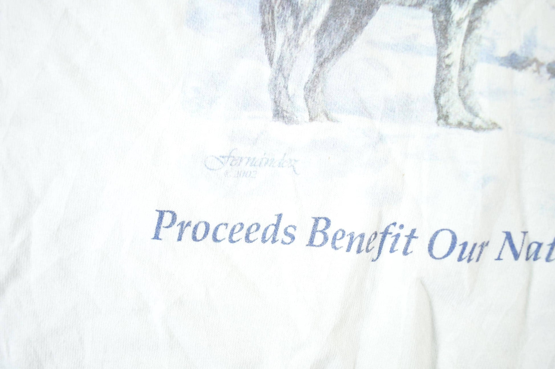 Other Clothing > Gender Neutral Adult Clothing > Tops & Tees > T Shirts Vintage 1990s Minnesota State Lottery Nature T-Shirt Mens XL
