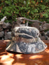 Other Hats & Beanies Gander Mountain Bucket Hat Adult Brown Tre Camo