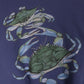Other Sweatshirts & Hoodies Vintage Artificial Reef Association Sweatshirt Mens XL Blue 90s Nature