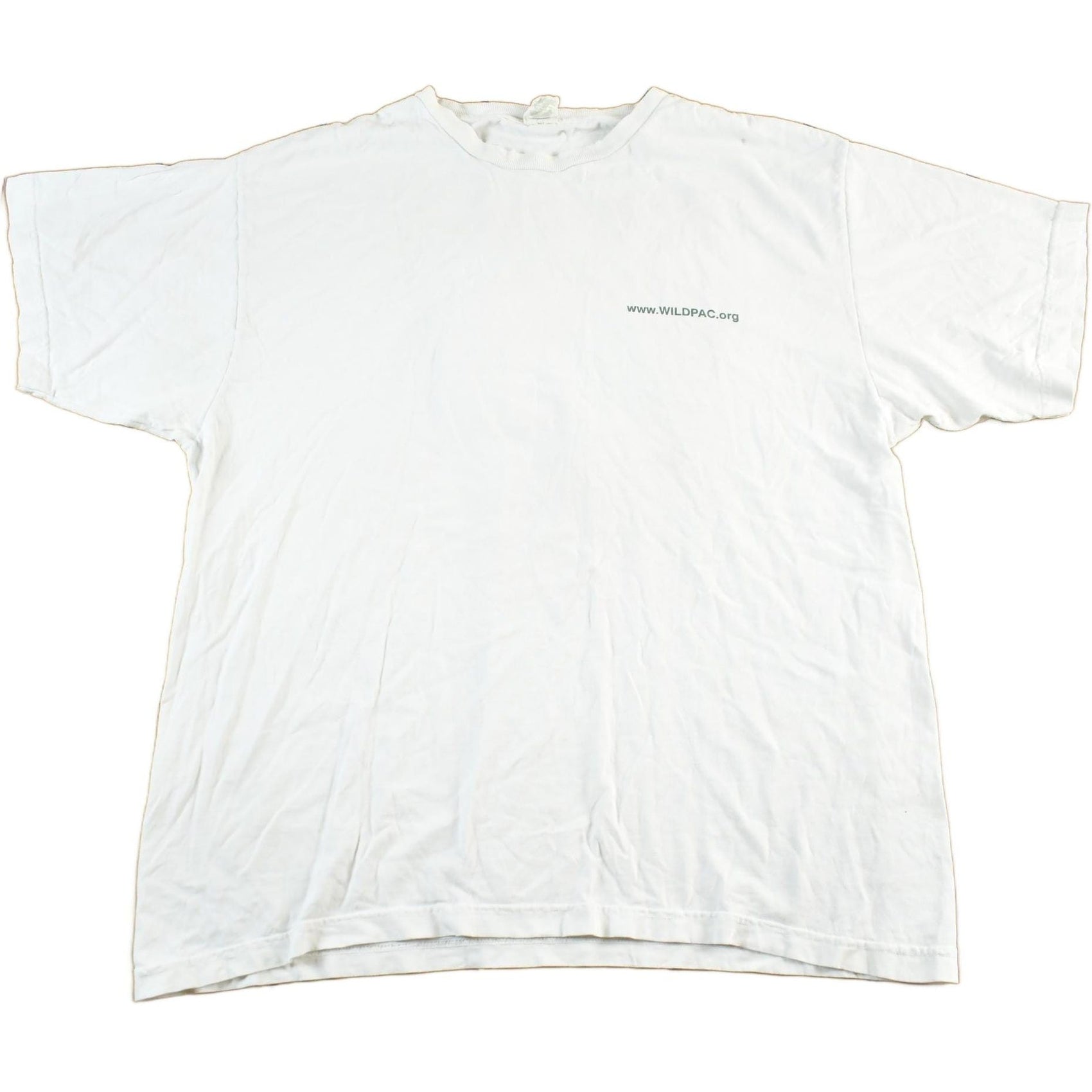 Patagonia Clothing > Gender Neutral Adult Clothing > Tops & Tees > T Shirts Vintage 2000s Patagonia Wildpac Organic Cotton T-Shirt Men's Large