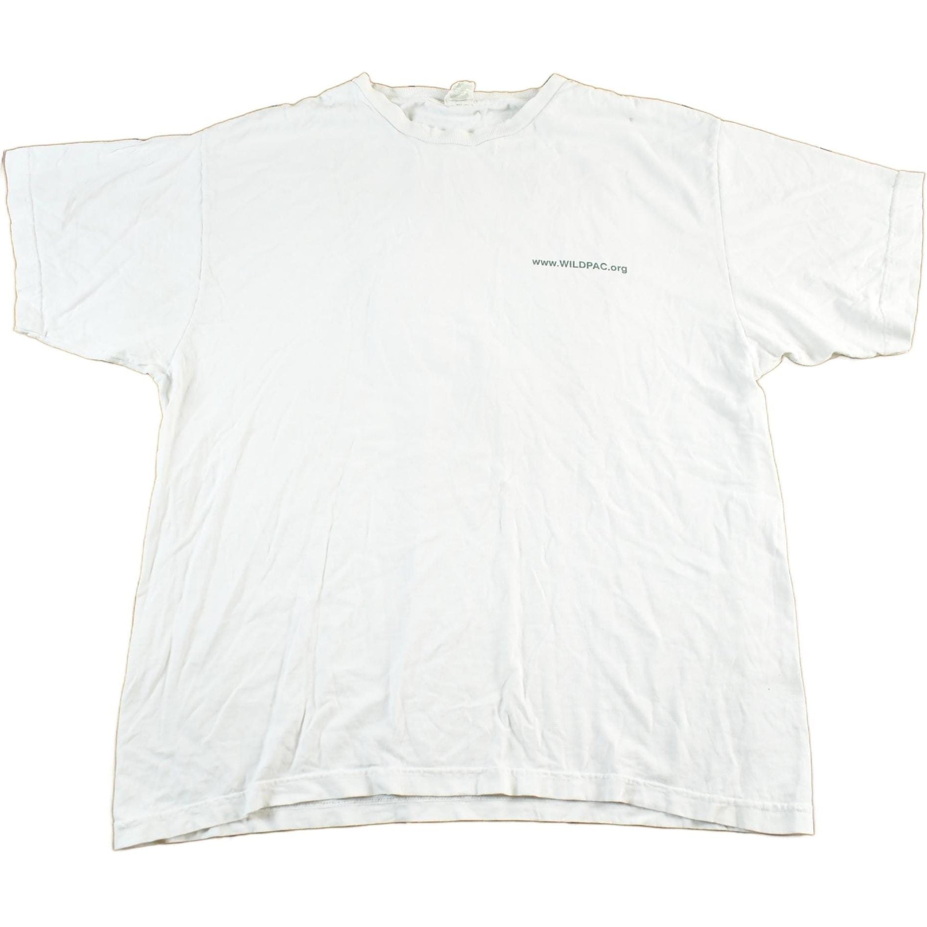 Patagonia Clothing > Gender Neutral Adult Clothing > Tops & Tees > T Shirts Vintage 2000s Patagonia Wildpac Organic Cotton T-Shirt Men's Large