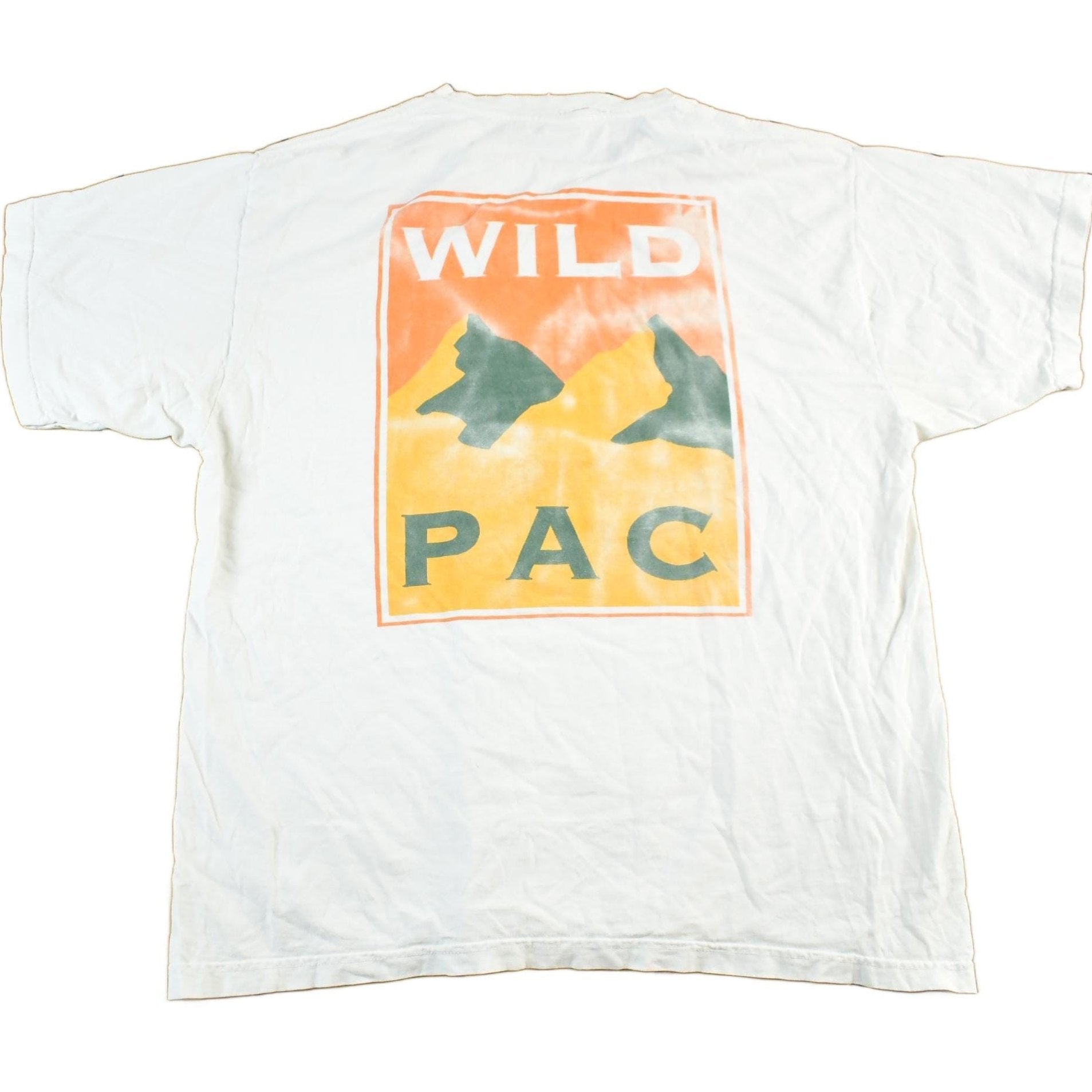 Patagonia Clothing > Gender Neutral Adult Clothing > Tops & Tees > T Shirts Vintage 2000s Patagonia Wildpac Organic Cotton T-Shirt Men's Large