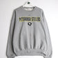 Pittsburgh Steelers Sweatshirt Mens Large Grey NFL from propervintagecanada