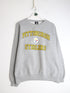 Pittsburgh Steelers Sweatshirt Mens XL Grey from propervintagecanada