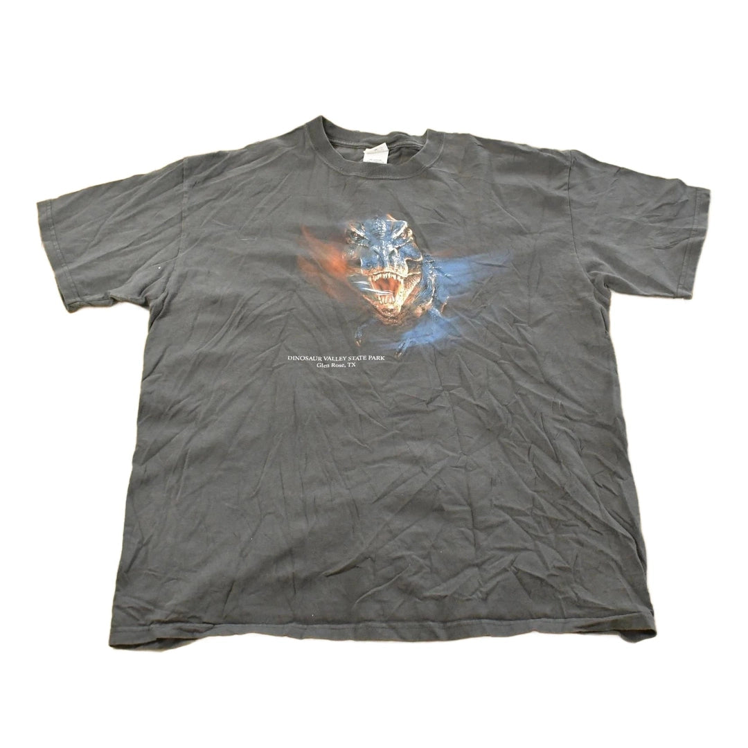 Vintage 1990s Dinosaur Valley State Park T-Shirt Men's XL