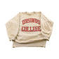 Vintage 1990s Ursinus College Champion Reverse Weave Crewneck Sweatshirt Men's Large
