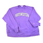 Vintage Y2K Northwestern University Champion Reverse Weave Sweatshirt Men's XXL