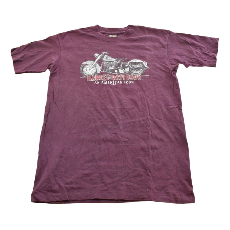 Vintage 1996 Harley Davidson Pennsylvania T-Shirt Mens M