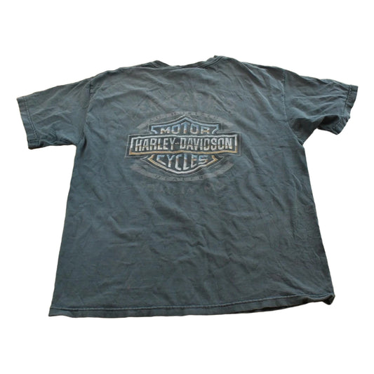 Vintage 2004 Harley Davidson Motorcycles Skull T-Shirt Men's L