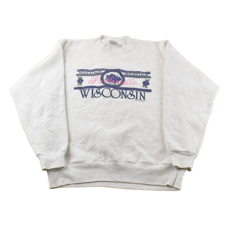 Vintage 1990s Pardeeville Wisconsin Travel Crewneck Sweater Men's M
