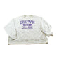Vintage 2000s Crown College Minnesota Collegiate Champion Reverse Weave Crewneck Sweatshirt Men's 3XL
