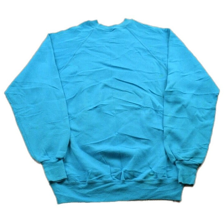 Proper Vintage Clothing > Gender Neutral Adult Clothing > Hoodies & Sweatshirts > Sweatshirts Vintage 1990s Blank Light Blue Crewneck Sweatshirt / 90s Crewneck / Made In USA / Essential / Streetwear / 90s Blank / Jerzees Crewneck