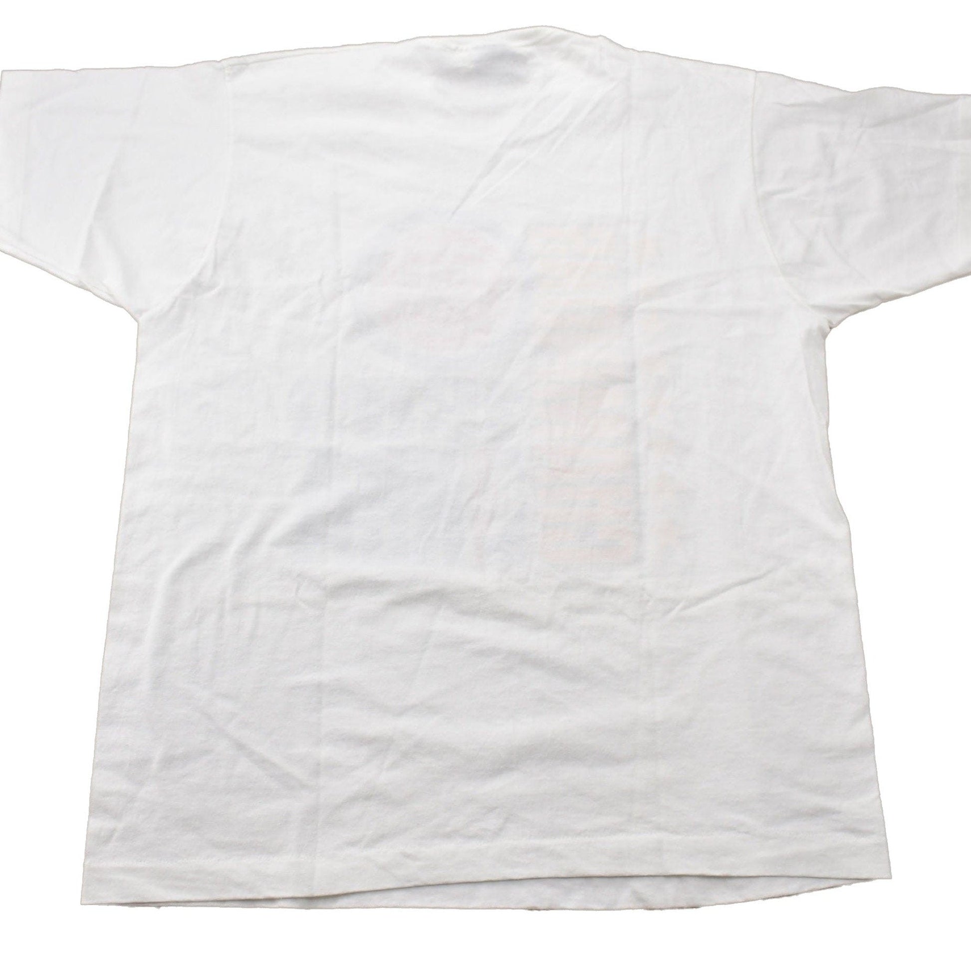 Proper Vintage Clothing > Gender Neutral Adult Clothing > Tops & Tees > T Shirts Vintage 1989 Detroit Pistons NBA World Champions Graphic T-Shirt / Made In USA / Single Stitch / NBA Basketball / Motor City Bad Boys