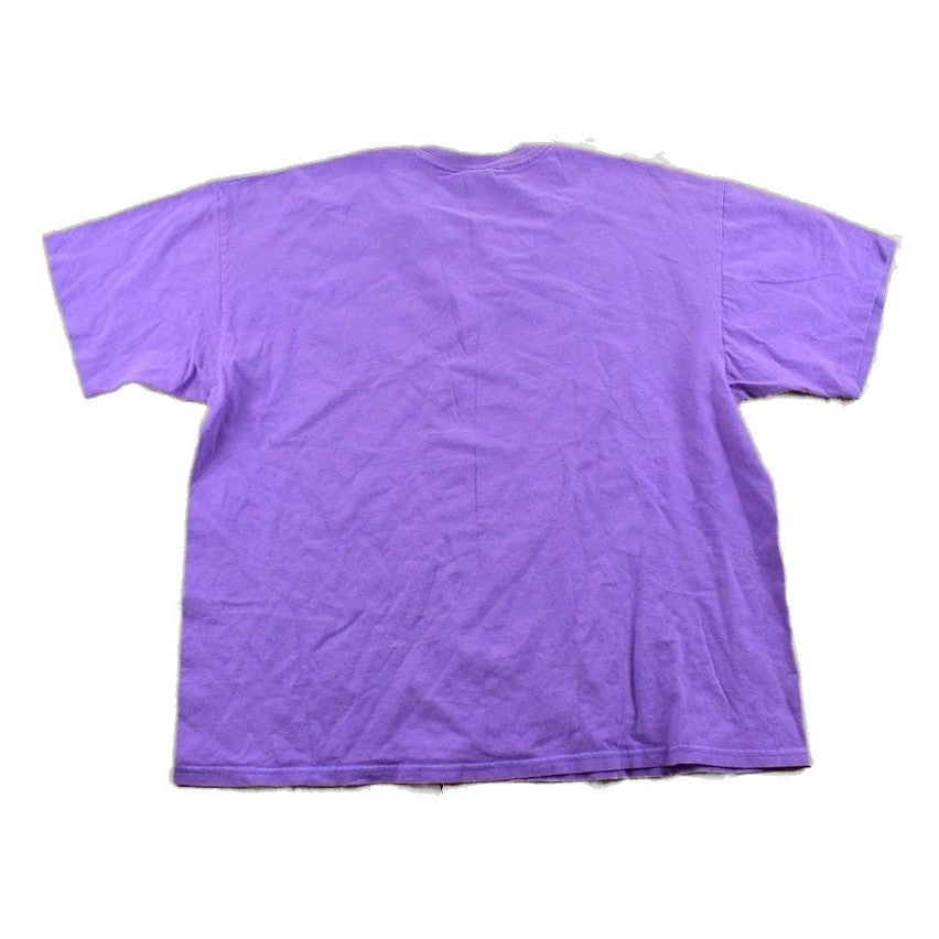 Proper Vintage Clothing > Gender Neutral Adult Clothing > Tops & Tees > T Shirts Vintage 1990s Champion Minnesota Vikings NFL Graphic T-Shirt/ Made In USA / Single Stitch / NFL / 90s Streetwear / Sportswear