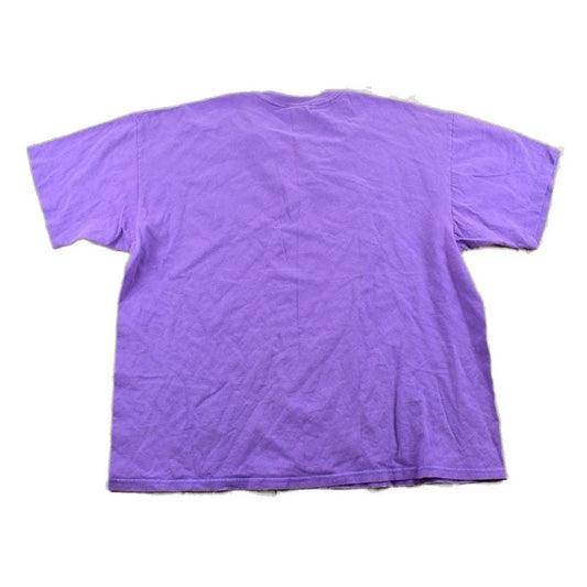 Proper Vintage Clothing > Gender Neutral Adult Clothing > Tops & Tees > T Shirts Vintage 1990s Champion Minnesota Vikings NFL Graphic T-Shirt/ Made In USA / Single Stitch / NFL / 90s Streetwear / Sportswear