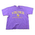 Proper Vintage Clothing > Gender Neutral Adult Clothing > Tops & Tees > T Shirts Vintage 1990s Champion Minnesota Vikings NFL Graphic T-Shirt/ Made In USA / Single Stitch / NFL / 90s Streetwear / Sportswear