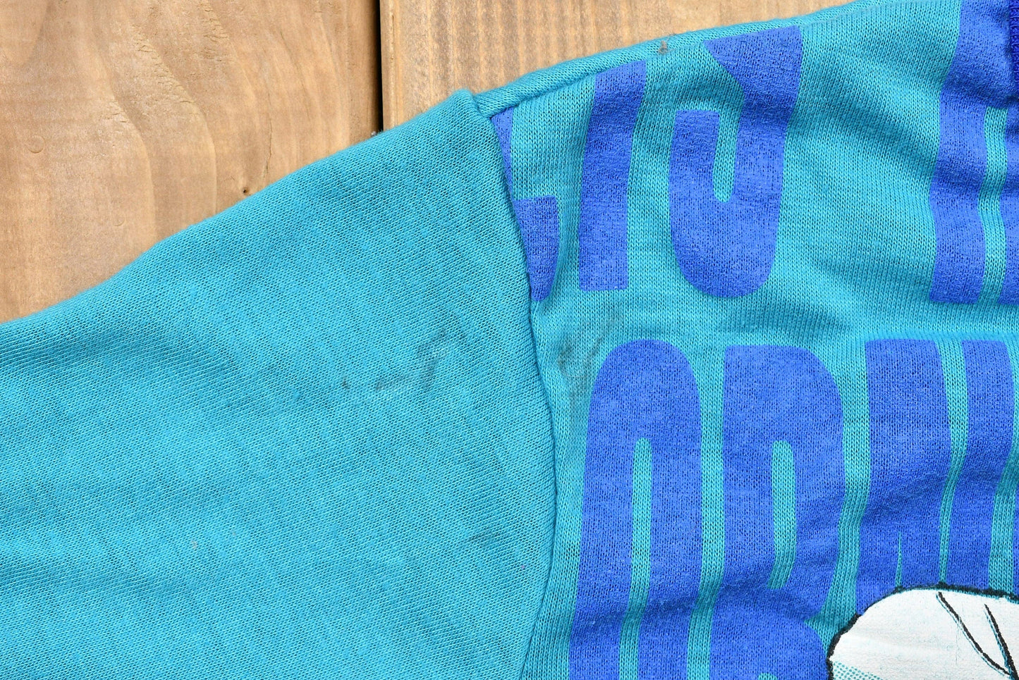 Proper Vintage Clothing > Gender Neutral Adult Clothing > Tops & Tees > T Shirts Vintage 1990s Charlotte Hornets Kid's Long Sleeve Graphic T-Shirt Youth L / NBA / 90s Streetwear / Athleisure / Sportswear