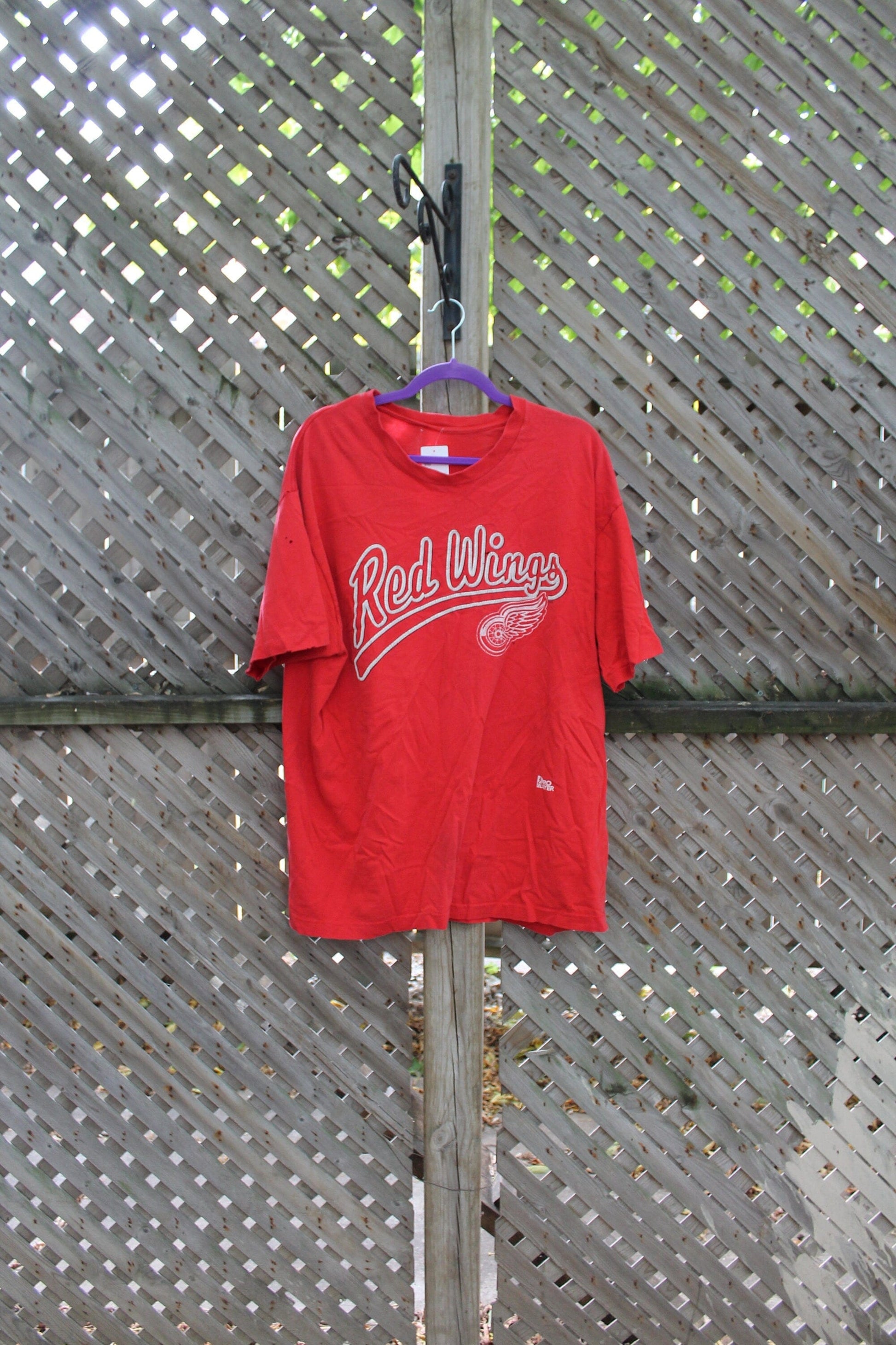 Proper Vintage Clothing > Gender Neutral Adult Clothing > Tops & Tees > T Shirts Vintage 1990s Detroit Red Wings NHL T Shirt / Vintage Graphic T-Shirt / Made In USA / Hockey T Shirt / Red Wings Tee