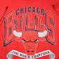 Proper Vintage Clothing > Gender Neutral Adult Clothing > Tops & Tees > T Shirts Vintage 1991 Chicago Bulls NBA World Champions Graphic T-Shirt / Streetwear / Retro Style / Single Stitch / Made In USA / 90s Jostens NBA