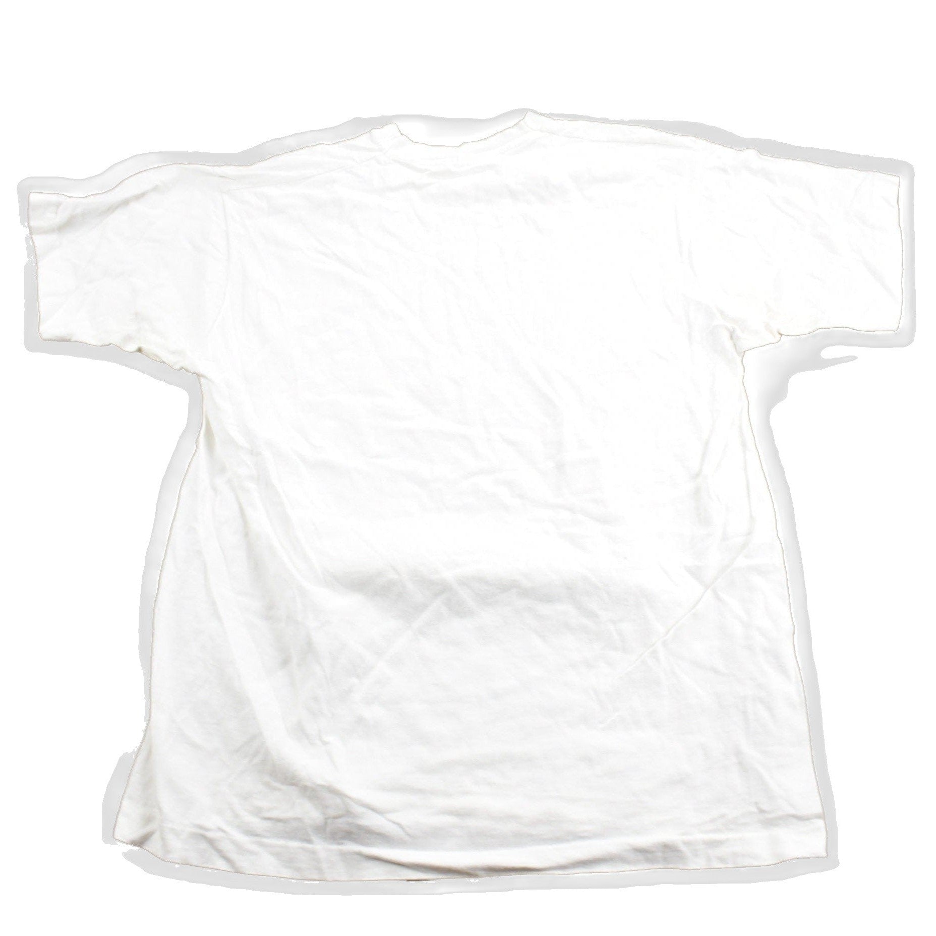 Proper Vintage Clothing > Gender Neutral Adult Clothing > Tops & Tees > T Shirts Vintage 1991 Chicago Bulls NBA World Champions T-Shirt / Made In USA / Single Stitch / 90s Streetwear / Big Head / Salem Sportswear